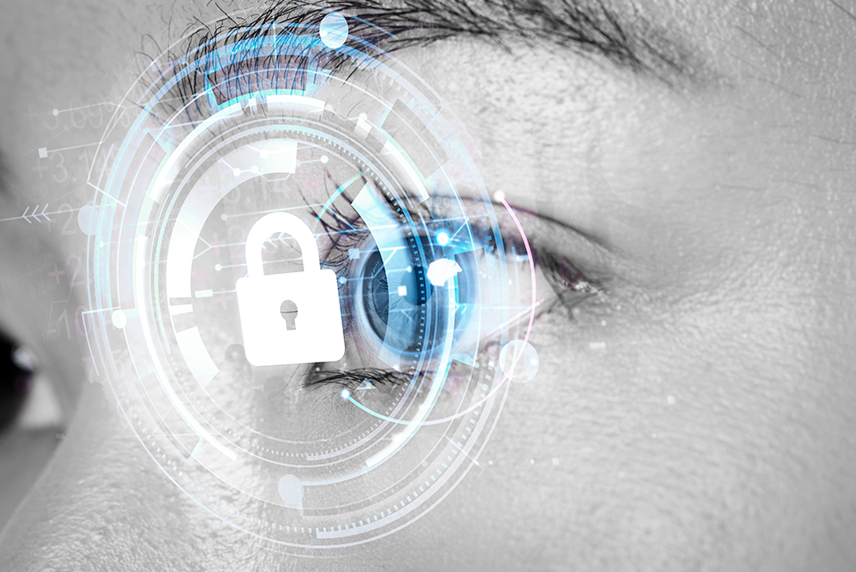 Block 3: The Human Factor in the Post-Digital Era